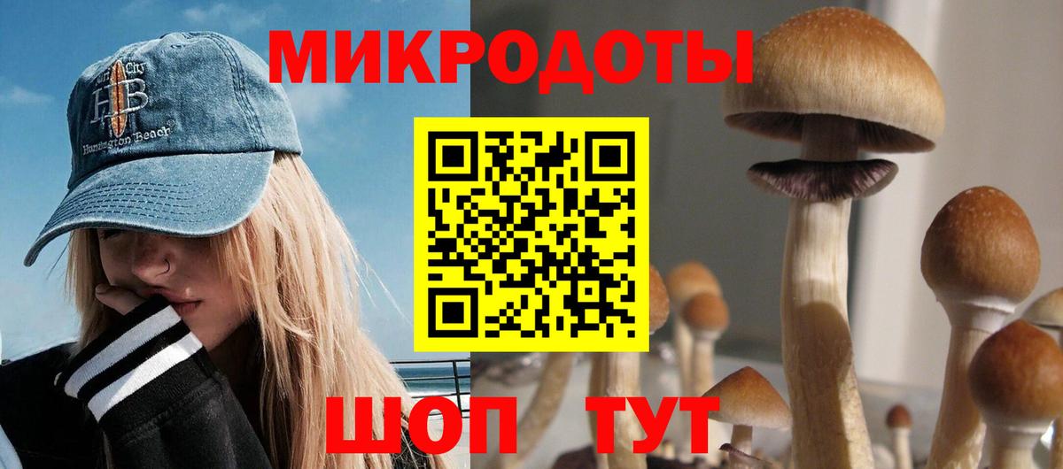 Псилоцибиновые грибы GOLDEN TEACHER Вязьма